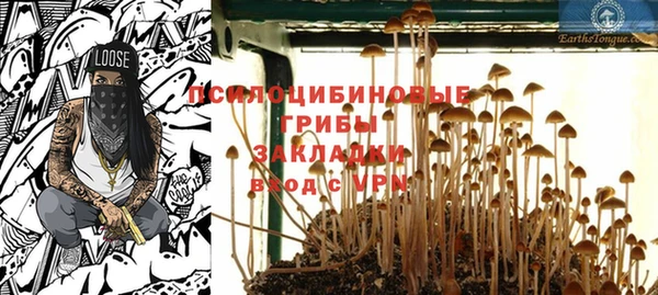 прущая мука Богородицк