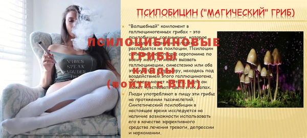 герыч Богданович
