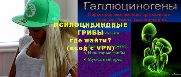 прущая мука Богородицк
